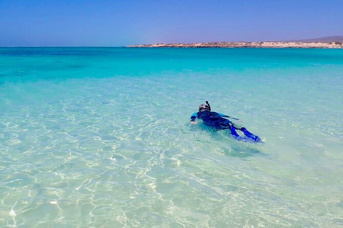 Full-Day Hiking and Snorkeling Tour, Ningaloo and Cape Range  - Exmouth - Pricing and Availability