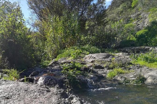 Full Day Hiking and Waterfalls Experience - Additional Information and Details