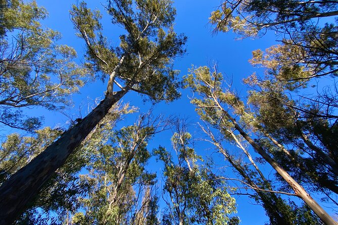 Full-Day Hiking at Ruta the Aqua Across Pena Cortada - Directions