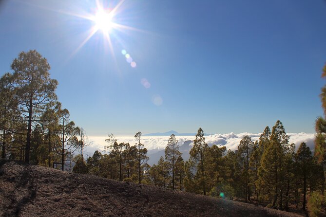Full Day Hiking Gran Canaria Peaks of Gran Canaria - Traveler Photos