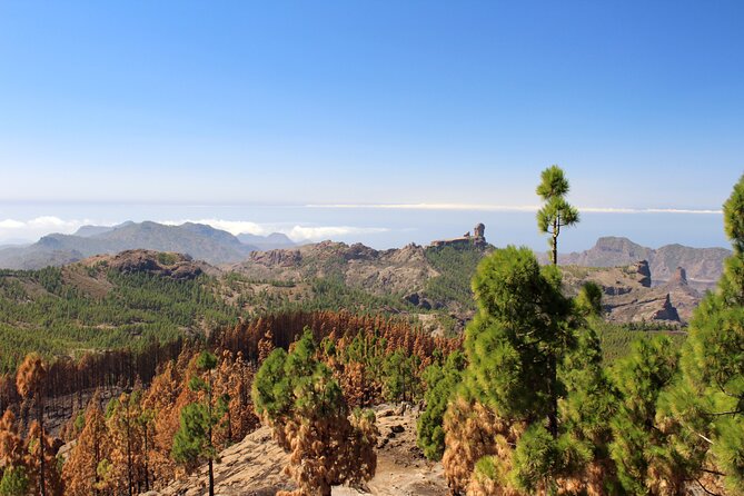 Full Day Hiking Gran Canaria Peaks of Gran Canaria - How to Prepare for the Hike