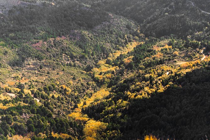 Full-Day Hiking Mount Taygetos Summit With Picnic - Additional Information