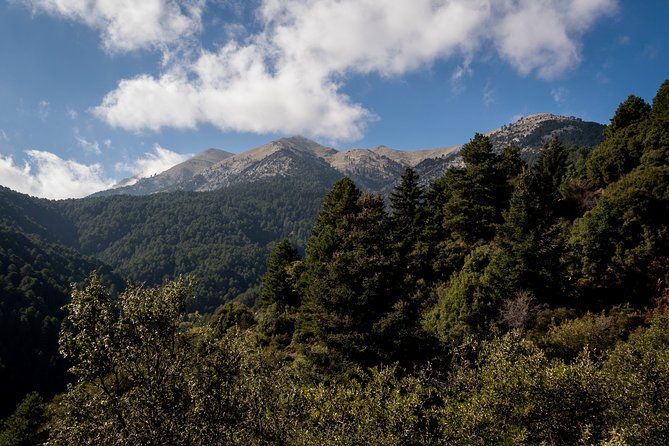 Full-Day Hiking Mount Taygetos Summit With Picnic - Pricing and Contact Information