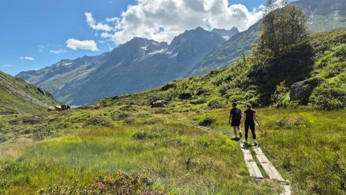 Full-Day Hiking Swiss Alps and Lake With Pick-Up - Lucerne - Inclusions and Whats Covered