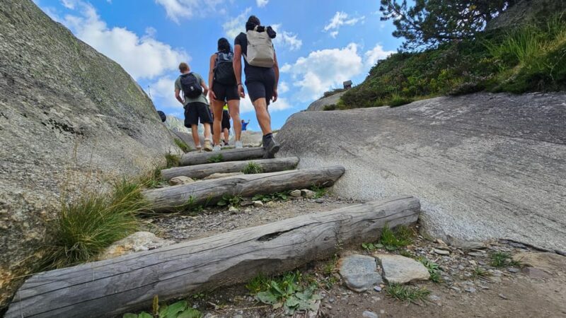 Full-Day Hiking Swiss Alps and Lake with Pick-up - What’s Included and What’s Not