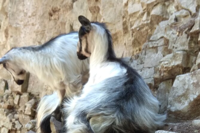 Full-Day Hiking Tour in Imbros Gorge - Location Details