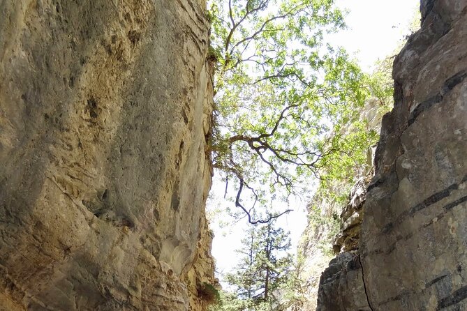 Full-Day Hiking Tour in Imbros Gorge - Directions for a Memorable Hike