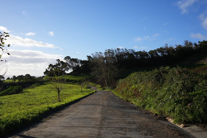 Full Day Hiking Trail in Lagoa Do Fogo Sao Miguel - Trail Overview
