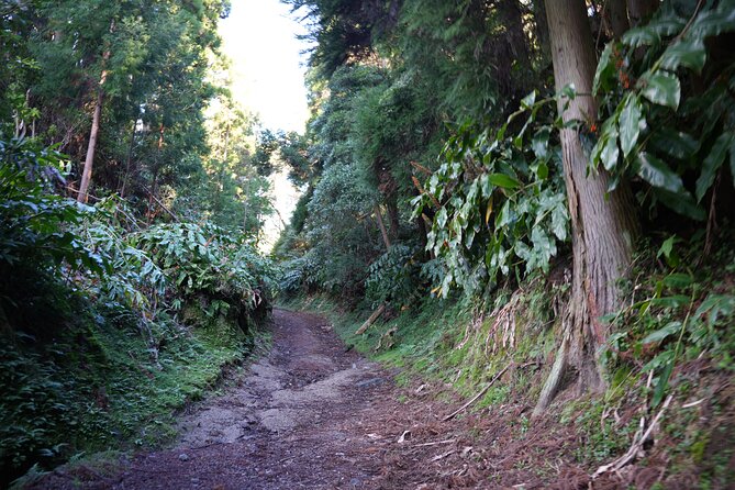 Full Day Hiking Trail in Lagoa Do Fogo Sao Miguel - Packing Essentials