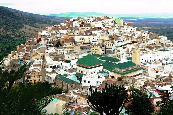 Full-Day Historical Fez Old City Tour - Booking Information