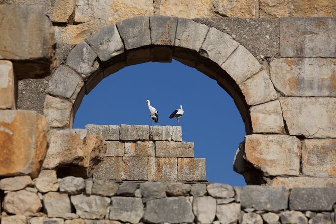 Full-Day Historical Tour to Meknes Volubilis and Moulay Idriss - Common Questions