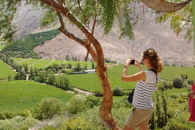 Full Day History and Flavors Tour in the Elqui Valley - Pick-up Details