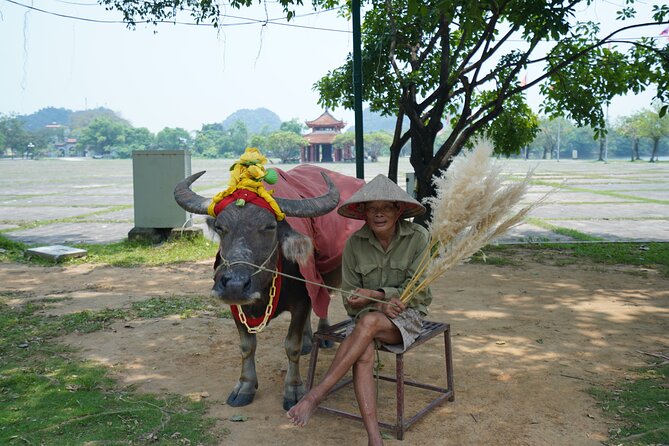 Full Day Hoa Lu/Tam Coc/ Mua Cave Tour by Limousine Bus - Whats Included