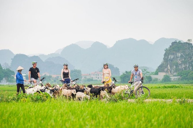 Full Day Hoa Lu - Tam Coc Sampan Boat and Countryside Biking Trip - Common Questions