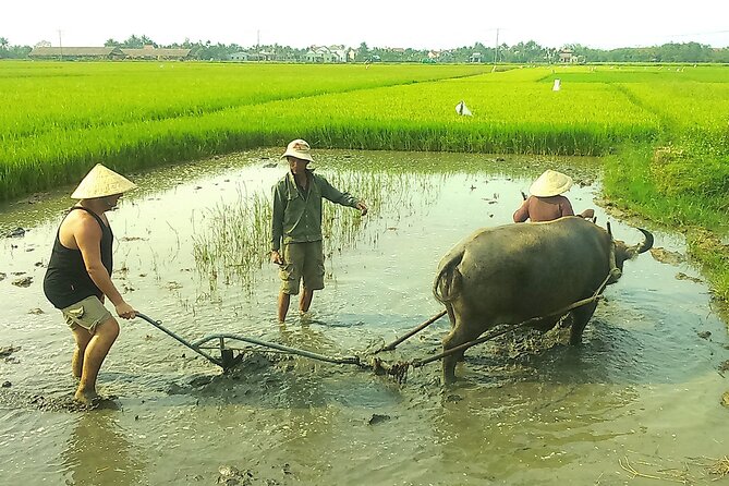 Full Day Hoi an Lantern Making - Tra Que Herb & Cam Thanh Fishing Village - Local Cuisine and Cooking Class