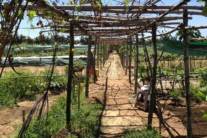 Full Day Hoi an Rural Life, Bike, Basket Boats, Farms & Fields (Private Tour) - Cycling Through Hoi An
