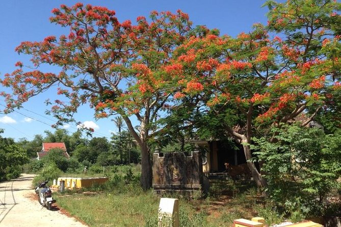 Full Day Hoi an Rural Life, Bike, Basket Boats, Farms & Fields (Private Tour) - Farm and Field Experience