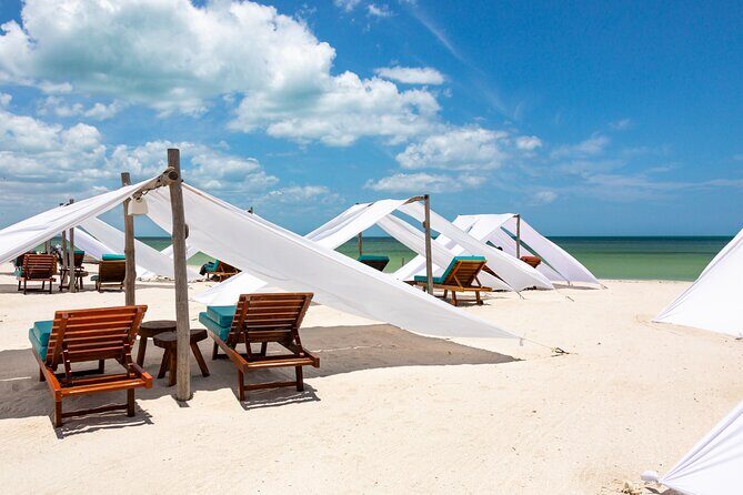 Full-Day Holbox Island Boat and Buggy Tour with Lunch - Good To Know