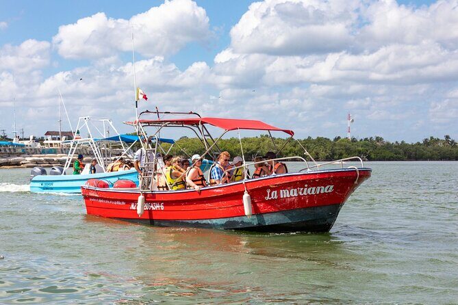 Full-Day Holbox Island Boat and Buggy Tour with Lunch - Delighting in a Gourmet Eco-Lunch
