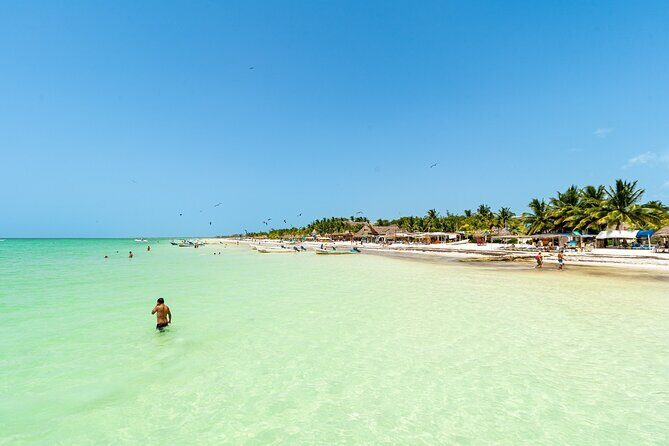 Full Day Holbox Island Tour from Playa del Carmen with Lunch - What’s Included and What’s Not