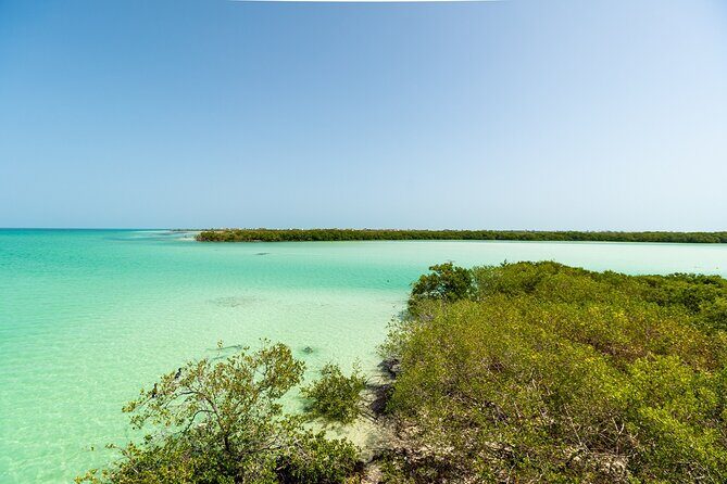 Full Day Holbox Island Tour from Playa del Carmen with Lunch - FAQs