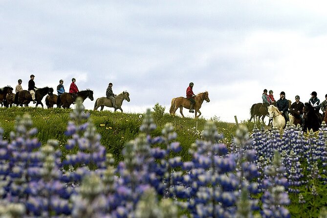 Full-Day Horse Riding and Golden Circle Tour in Iceland - Horse Riding Experience