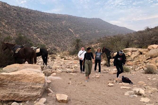 Full-Day Horseback Riding Experience With Lunch - Good To Know