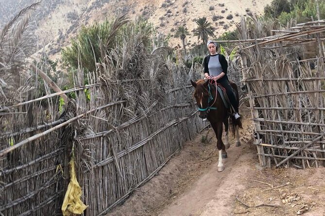Full-Day Horseback Riding Experience With Lunch - Location Information