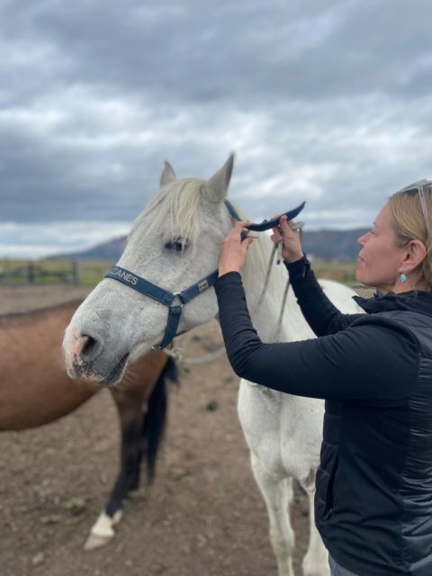 Full Day Horseback Riding Trail Ride to the Mountain - What to Bring