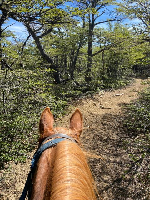 Full Day Horseback Riding Trail Ride to the Mountain - Activity Details