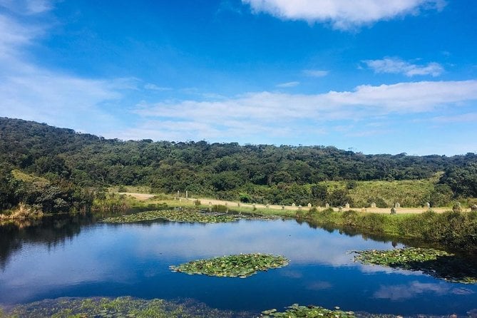 Full-Day Horton Plains National Park Tour From Nuwaraeliya - Good To Know