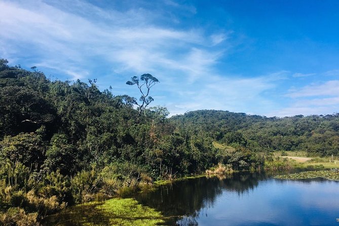 Full-Day Horton Plains National Park Tour From Nuwaraeliya - Additional Information
