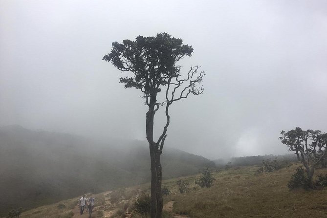 Full-Day Horton Plains National Park Tour From Nuwaraeliya - Cancellation Policy