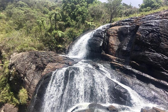 Full-Day Horton Plains National Park Tour From Nuwaraeliya - Pricing and Reviews