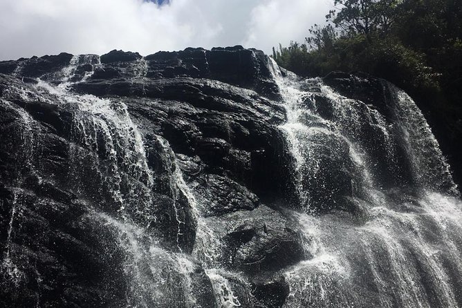 Full-Day Horton Plains National Park Tour From Nuwaraeliya - Lowest Price Guarantee