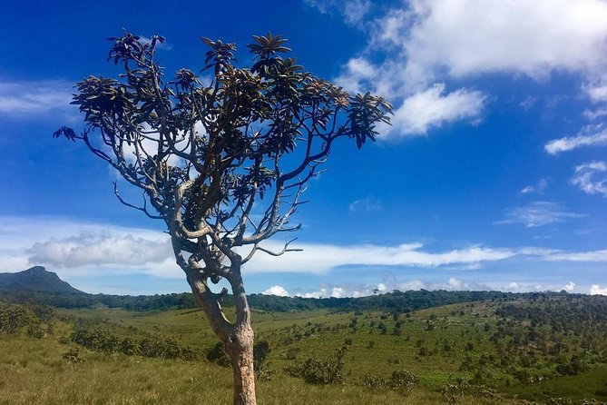 Full-Day Horton Plains National Park Tour From Nuwaraeliya - Reserve Now and Pay Later Option