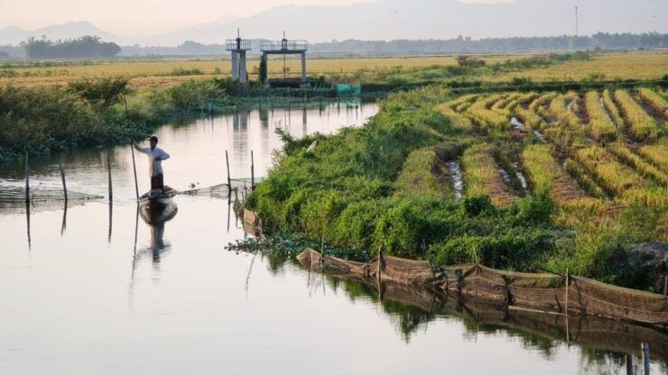 Full-Day Hue Motorbike Tour Through the Countryside - Cultural Immersion Experience