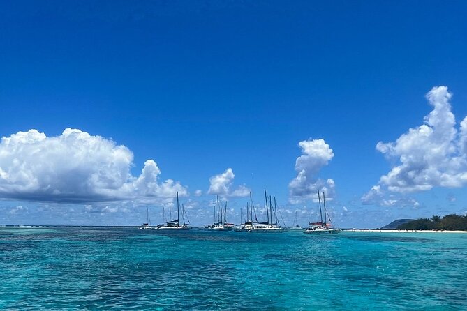 Full Day Ile Aux Cerfs Catamaran Tour With Lunch and Drinks - Booking Information