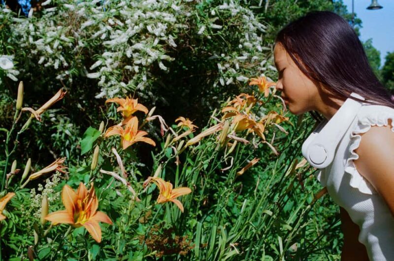 Full-day Impressionism Tour: Giverny and Marmottan - Who Is This Tour Best Suited For?