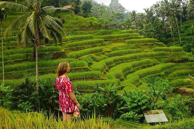 Full-Day in Bali: Private Design-Your-Own Tour - Good To Know