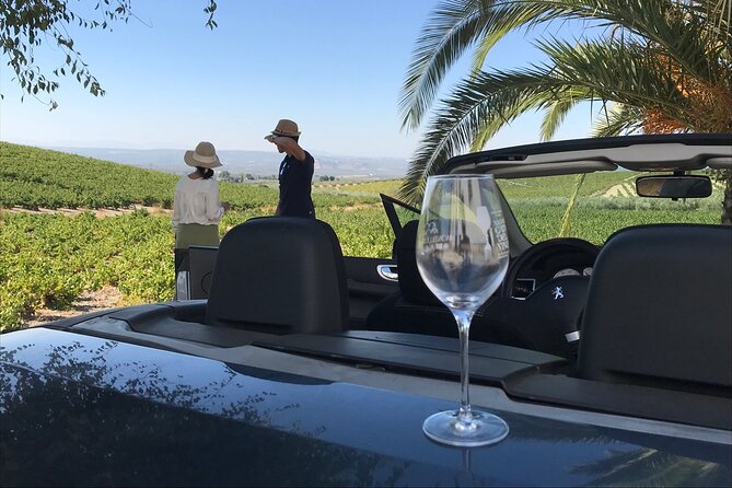Full Day in Cordoba Between Vineyards and Olive Trees With a Convertible Car - Scenic Drive Through Olive Groves