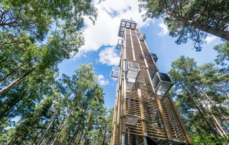 Full Day in Jurmala and Kemeri National Park - Kemeri National Park: Bog, Springs, and Carnivorous Plants