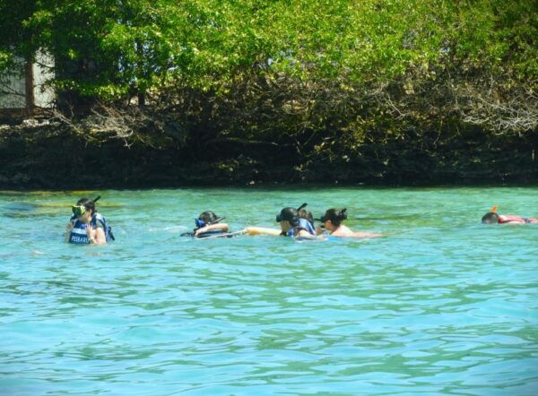 Full Day in Rosario and Barú Islands With Locals - Transportation