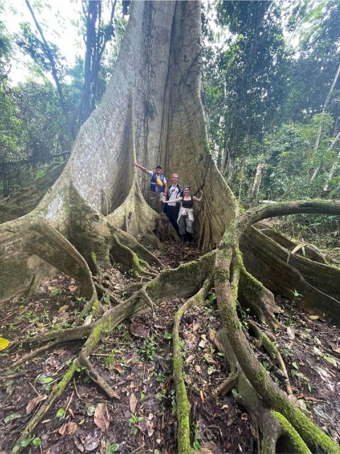Full Day in the Pacaya Samiria Reserve - Wildlife Encounters