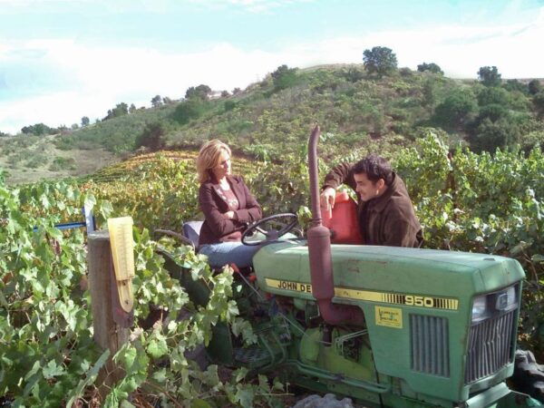 Full-Day Inclusive Wine Tasting Tour From Santa Barbara - Common Questions