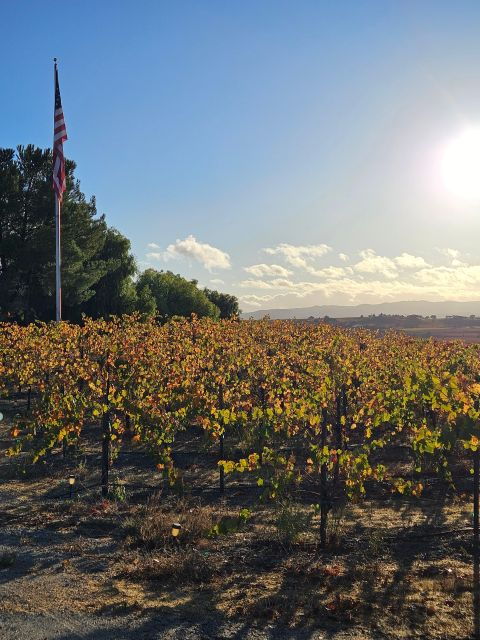 Full-Day Inclusive Wine Tasting Tour From Santa Ynez Valley - Picnic Lunch