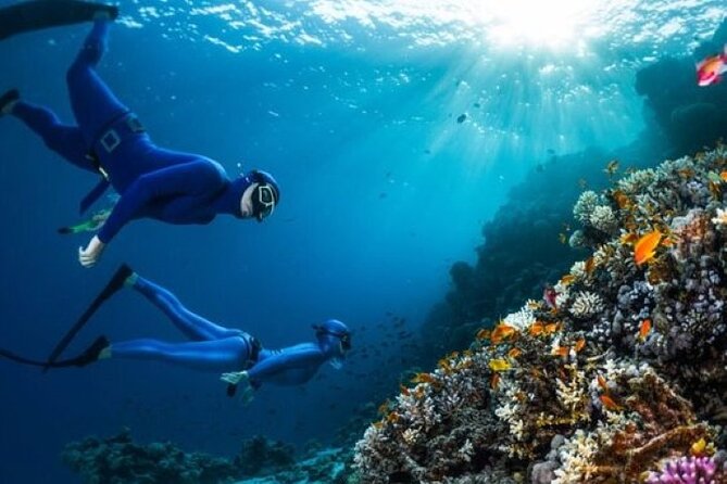 Full Day Intro Scuba Diving & Snorkeling in Hurghada - Tour Details