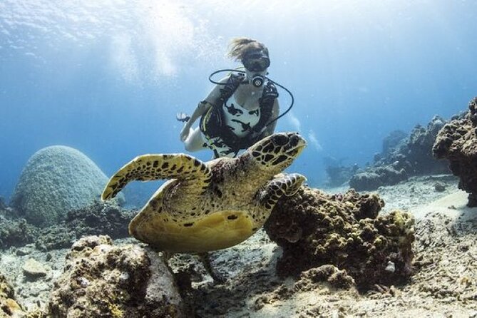 Full Day Intro Scuba Diving & Snorkeling in Hurghada - Additional Information