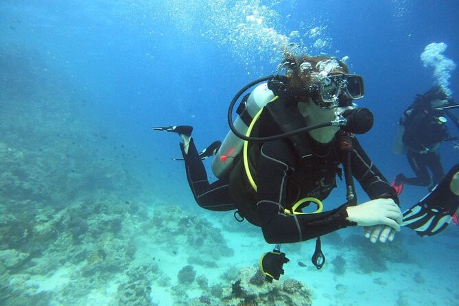 Full Day Intro Scuba Diving & Snorkeling in Hurghada - Reservations and Pricing