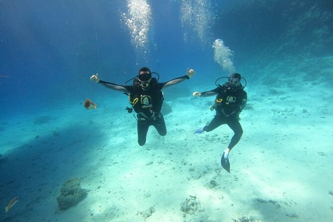 Full Day Intro Scuba Diving & Snorkeling in Hurghada - Pickup and Drop-off